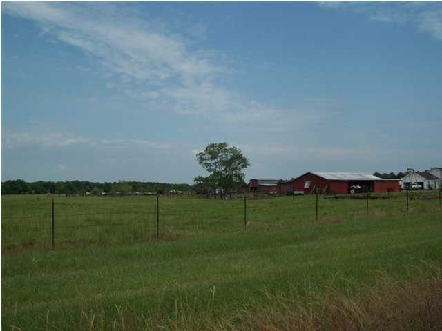 9060 Schultz Road Branch, LA 70516 - Photo 1 of 2 Primary Photo