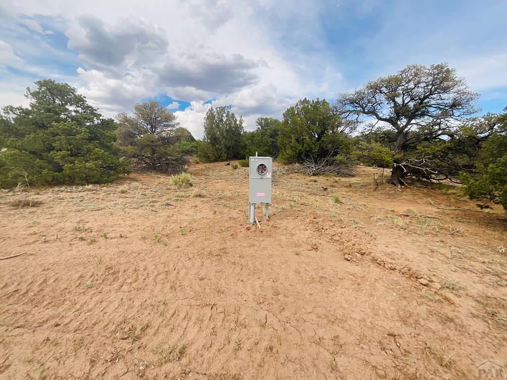 Lot 17 Navajo Ranch Walsenburg, CO 81089 - Photo 4 of 26 a view of a yard with a tree