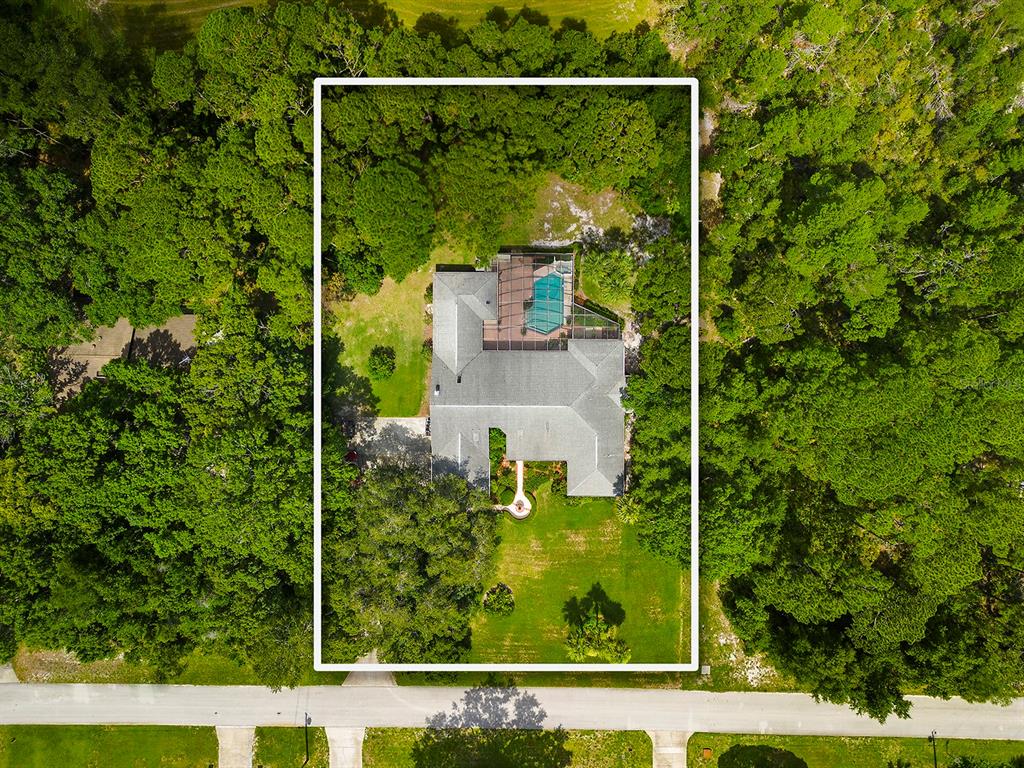 6049 Patricia Place Weeki Wachee, FL 34607 - Photo 6 of 57