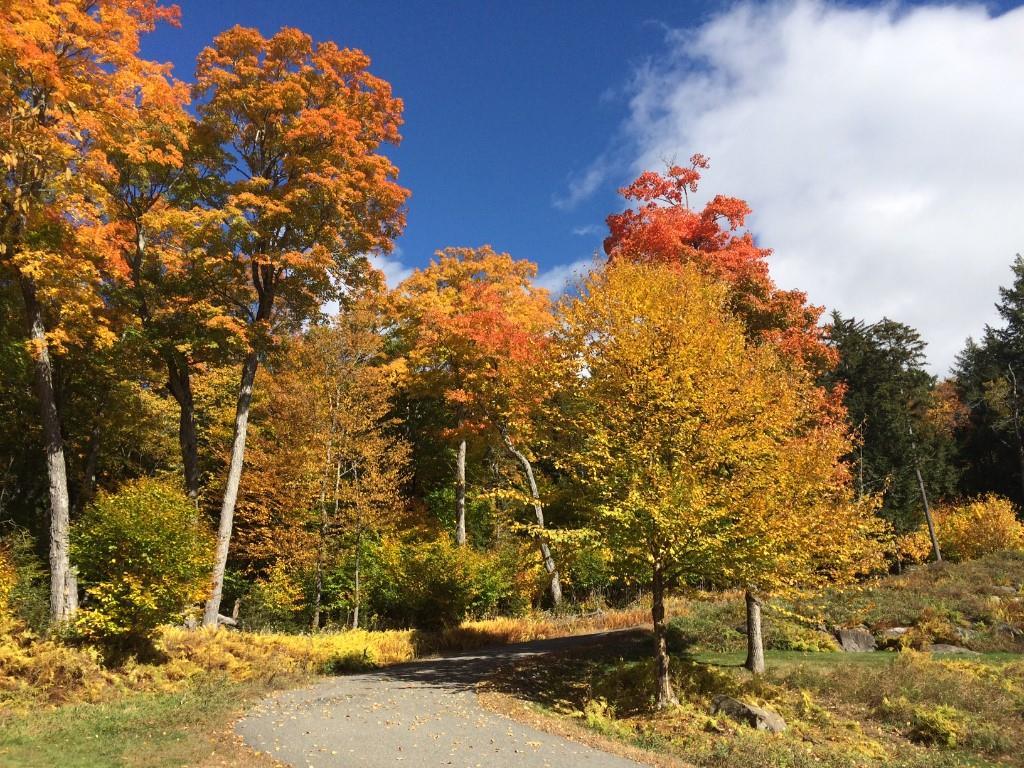 339 Black Point Road Beaver Cove, ME 04441 - Photo 28 of 30 Photo