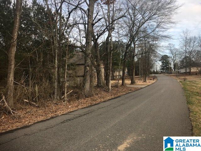 1 Cannie Phillips Road, Unit LOT 1 Sumiton, AL 35148 - Photo 3 of 6