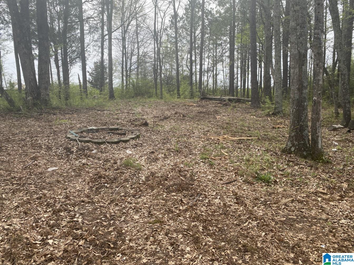 7489 Renfroe Road, Unit 7489 Talladega, AL 35160 - Photo 8 of 15