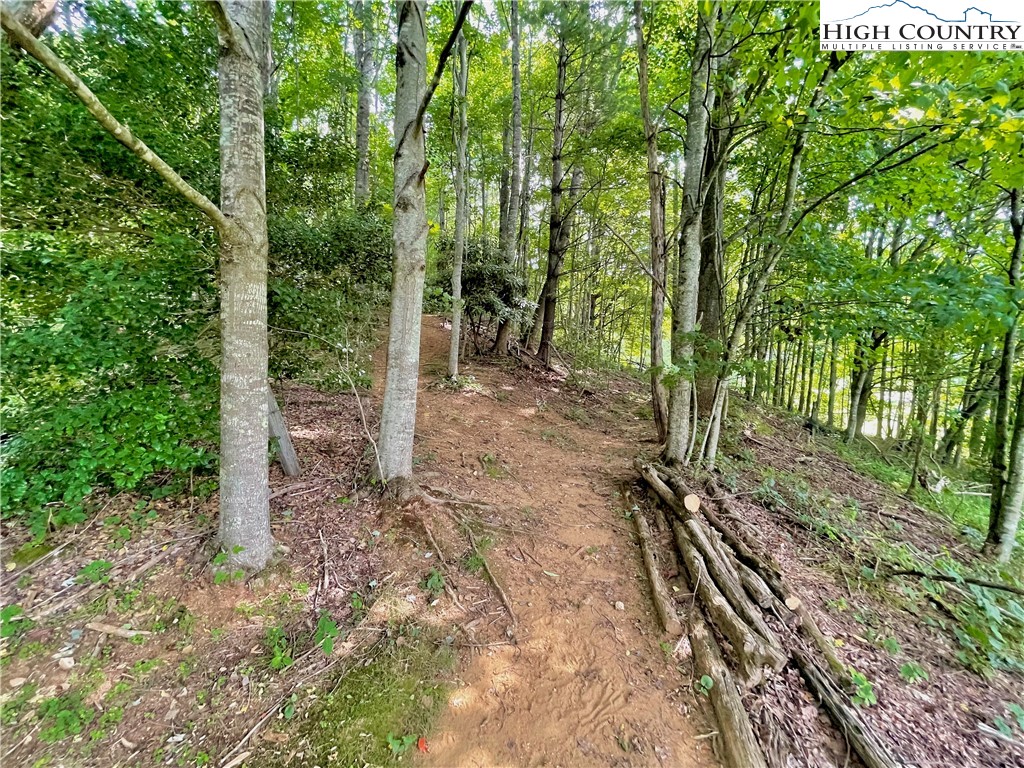 1125 Church Road Boone, NC 28607 - Photo 16 of 44