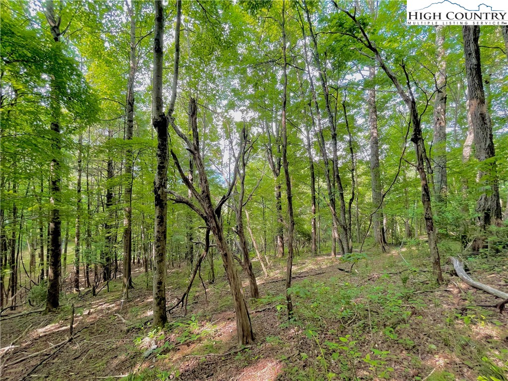 1125 Church Road Boone, NC 28607 - Photo 21 of 44