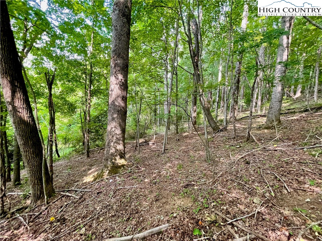 1125 Church Road Boone, NC 28607 - Photo 22 of 44