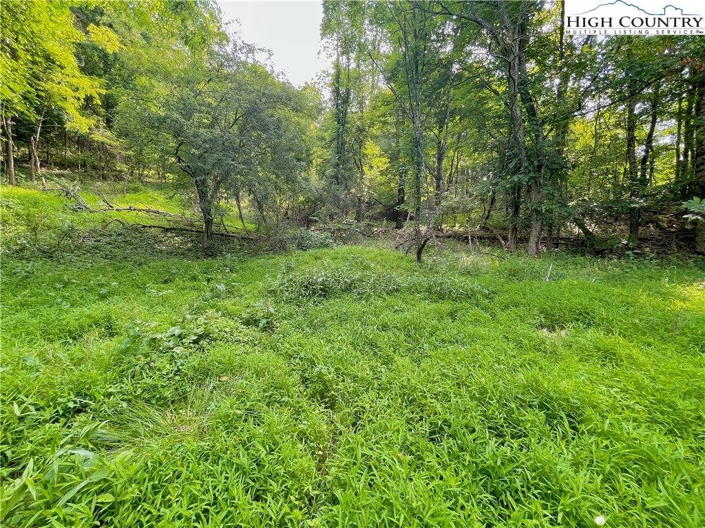 1125 Church Road Boone, NC 28607 - Photo 23 of 44