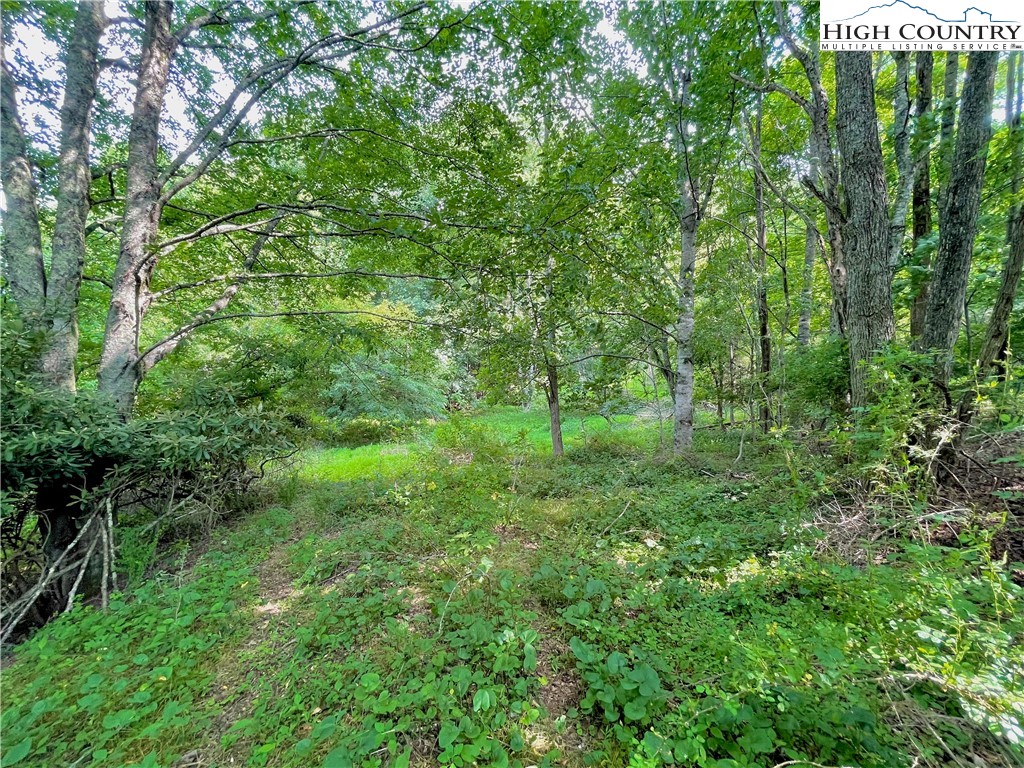 1125 Church Road Boone, NC 28607 - Photo 24 of 44