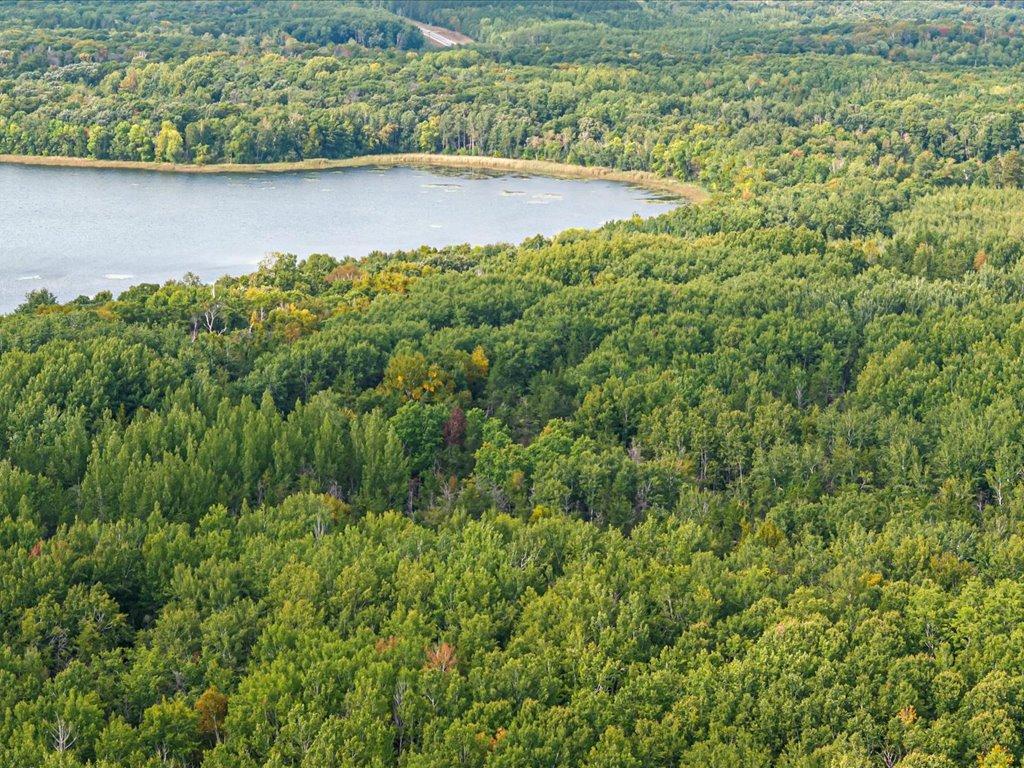 Parcel G East Horseshoe Lake Road Merrifield, MN 56465 - Photo 7 of 28 Gallery Image 7