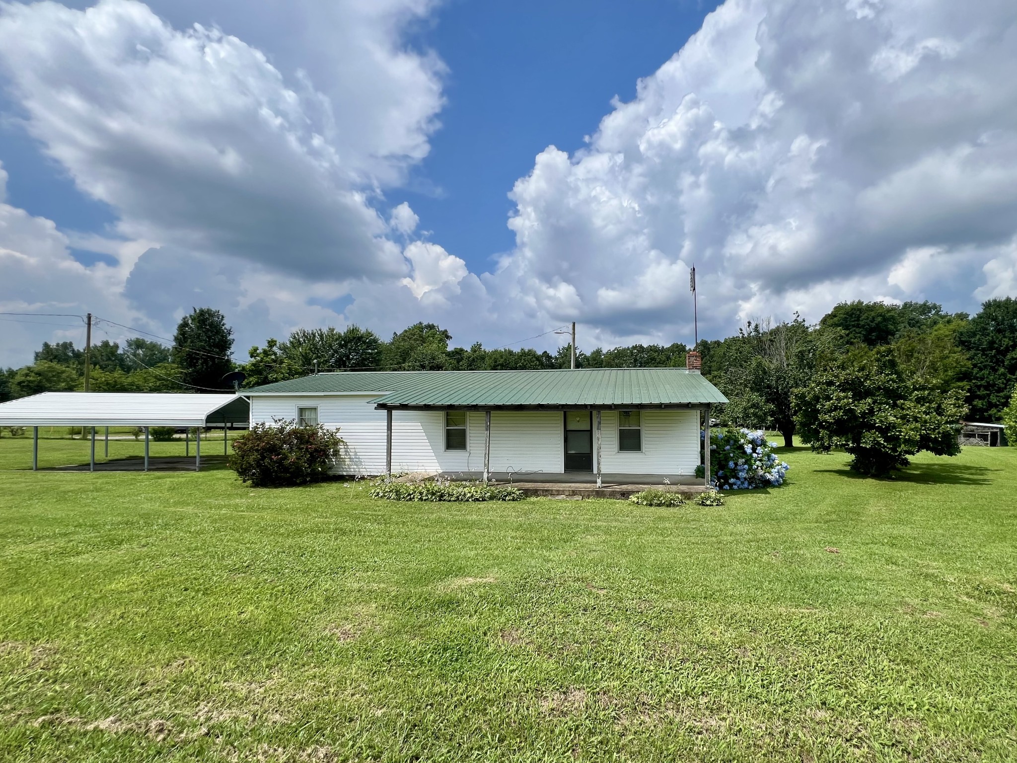 3467 Fall River Road Pulaski, TN 38478 - Photo 5 of 38 a view of a house with a big yard and a large tree