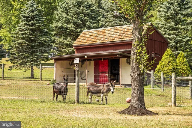a view of a bunch of plants and trees