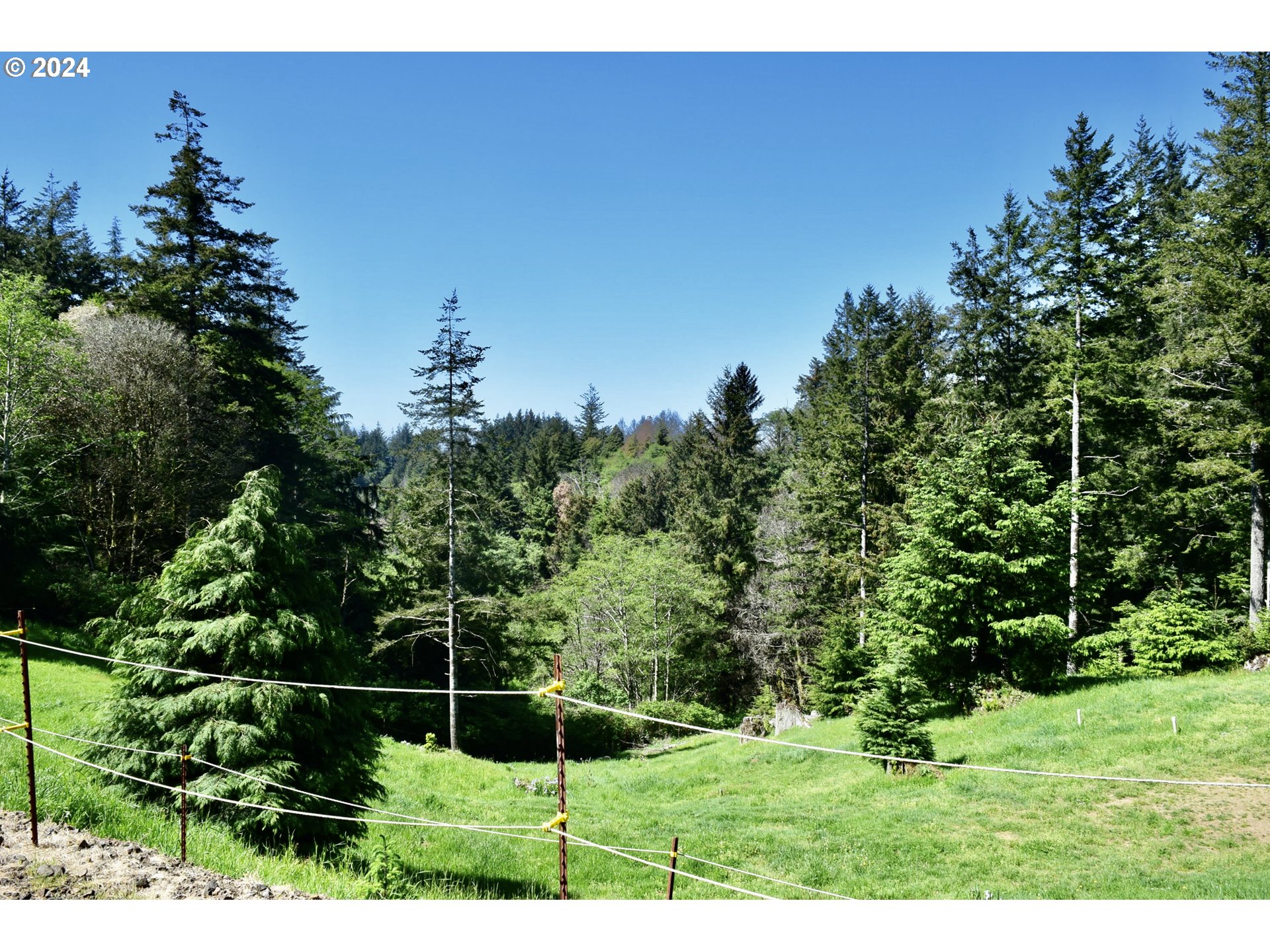 27286 Eighty Acres Road Gold Beach, OR 97444 - Photo 8 of 46