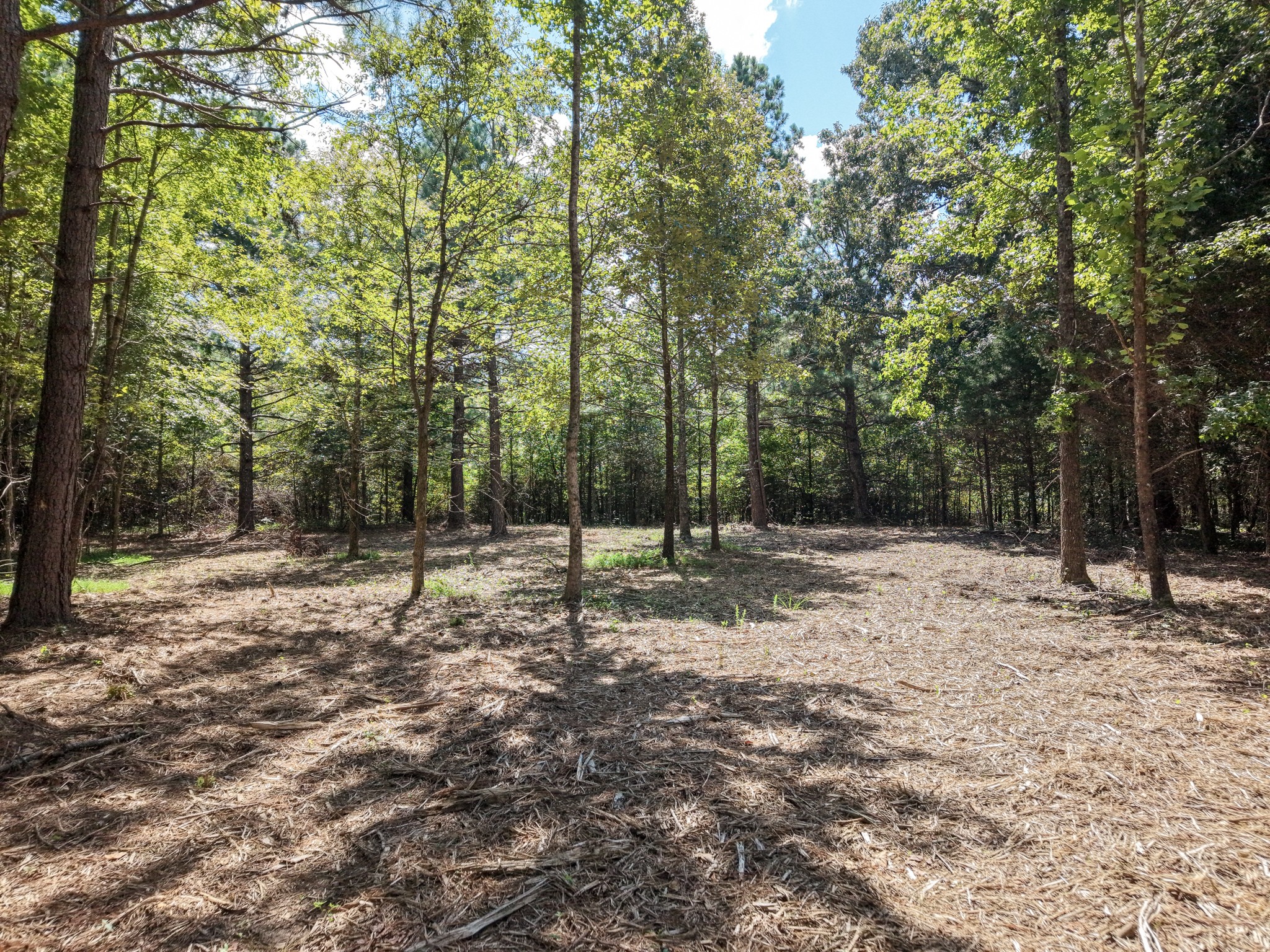 0 Point Mason Road Big Sandy, TN 38221 - Photo 7 of 12 Gallery Image 7