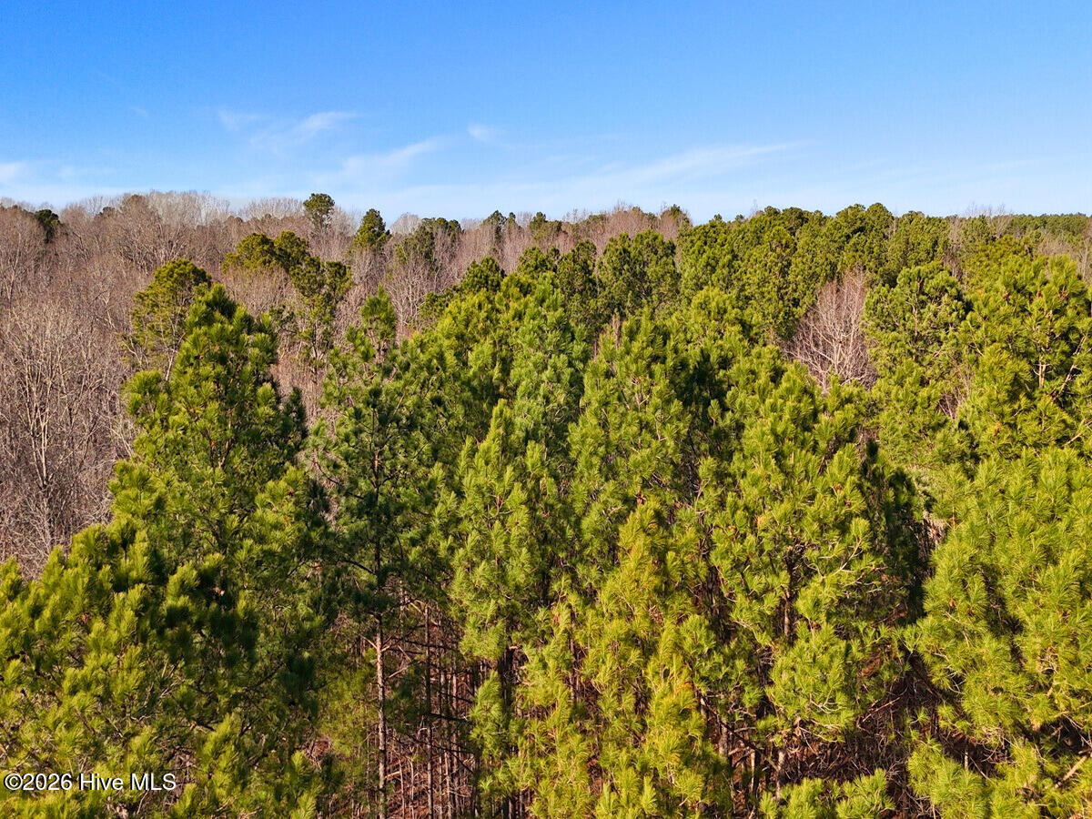 0 Nc 98 Hwy Spring Spring Hope, NC 27882 - Photo 12 of 39 12. Drone Photo
