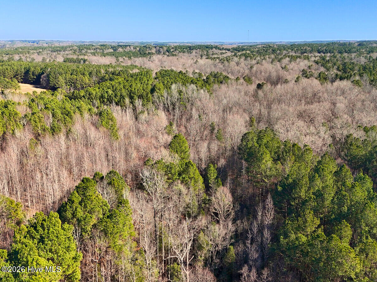 0 Nc 98 Hwy Spring Spring Hope, NC 27882 - Photo 14 of 39 14. Drone Photo