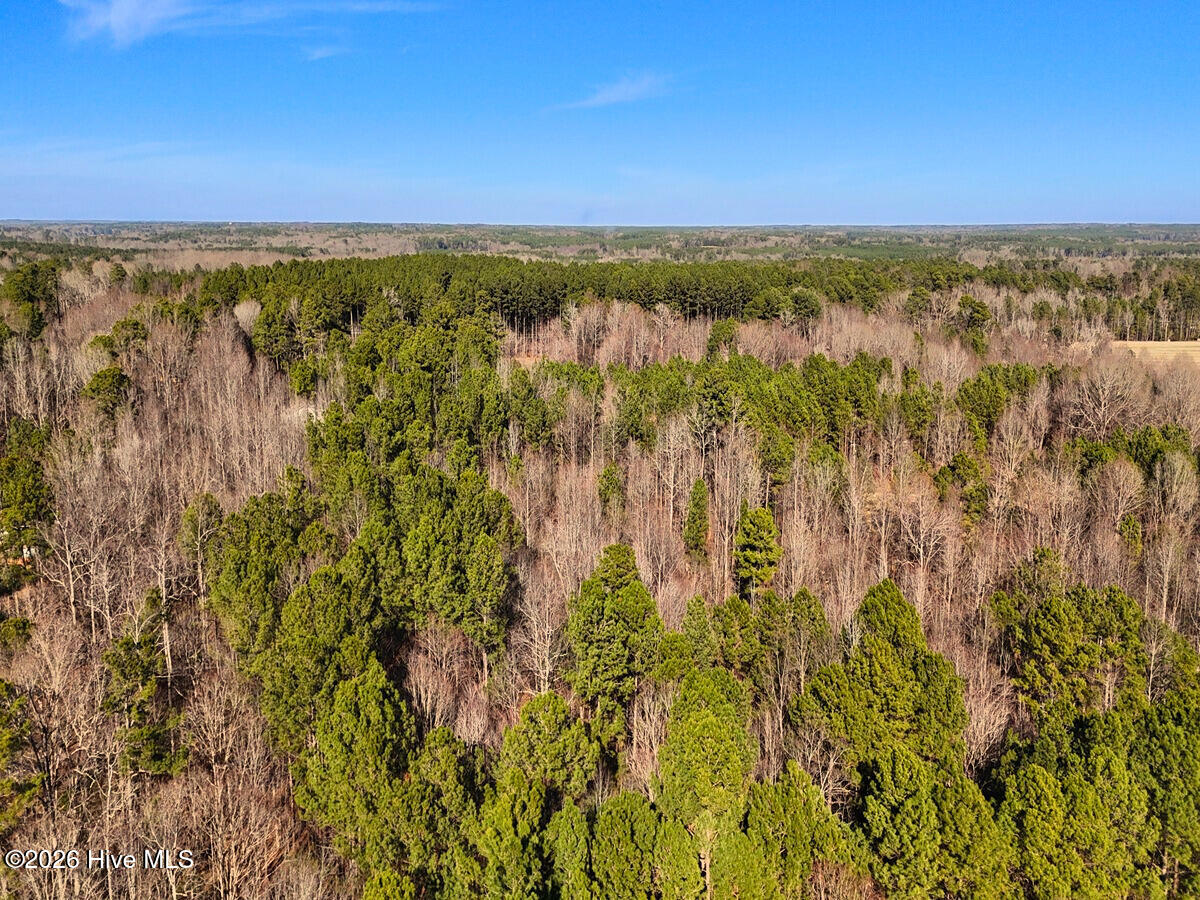 0 Nc 98 Hwy Spring Spring Hope, NC 27882 - Photo 15 of 39 15.Drone Photo