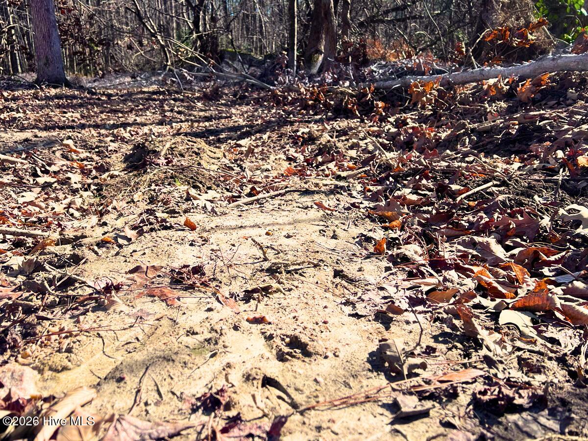 0 Nc 98 Hwy Spring Spring Hope, NC 27882 - Photo 16 of 39 16. Ground Photo Deer Tracks