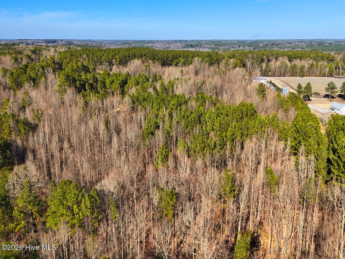 0 Nc 98 Hwy Spring Spring Hope, NC 27882 - Photo 17 of 39 17. Drone Photo