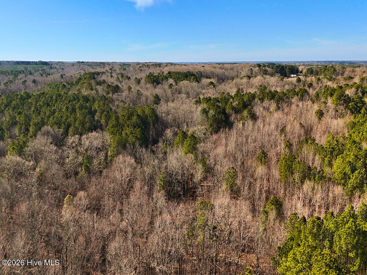 0 Nc 98 Hwy Spring Spring Hope, NC 27882 - Photo 18 of 39 18. Drone Photo