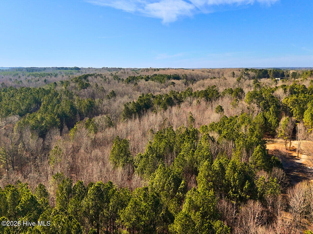 0 Nc 98 Hwy Spring Spring Hope, NC 27882 - Photo 19 of 39 19. Drone Photo