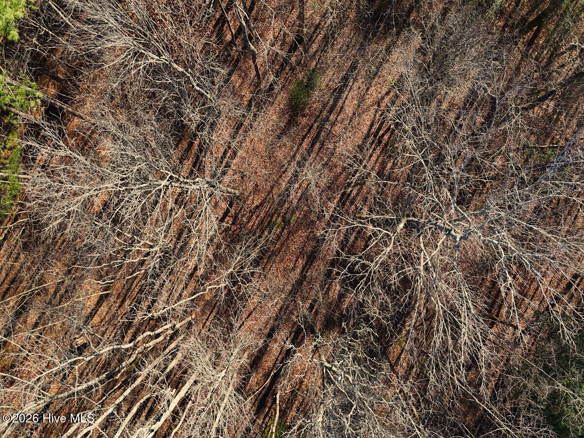 0 Nc 98 Hwy Spring Spring Hope, NC 27882 - Photo 20 of 39 20. Drone Photo