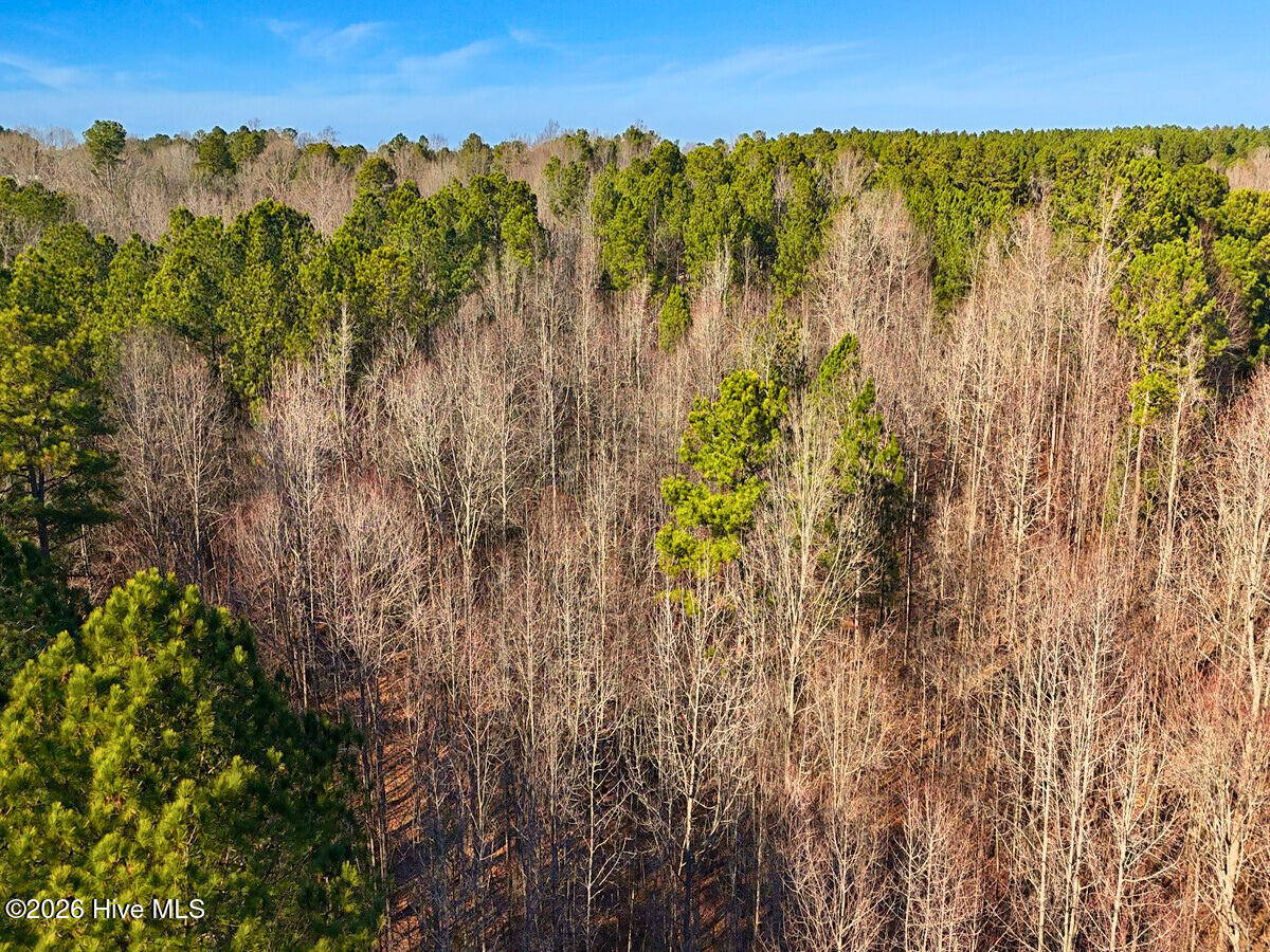 0 Nc 98 Hwy Spring Spring Hope, NC 27882 - Photo 21 of 39 21. Drone Photo