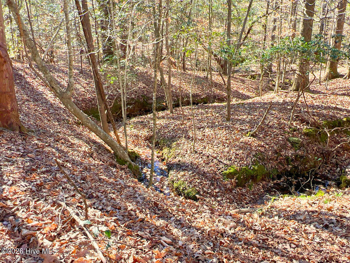 0 Nc 98 Hwy Spring Spring Hope, NC 27882 - Photo 23 of 39 23. Ground Photo Seasonal Creek