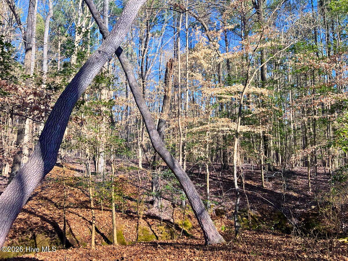 0 Nc 98 Hwy Spring Spring Hope, NC 27882 - Photo 25 of 39 25. Ground Photo