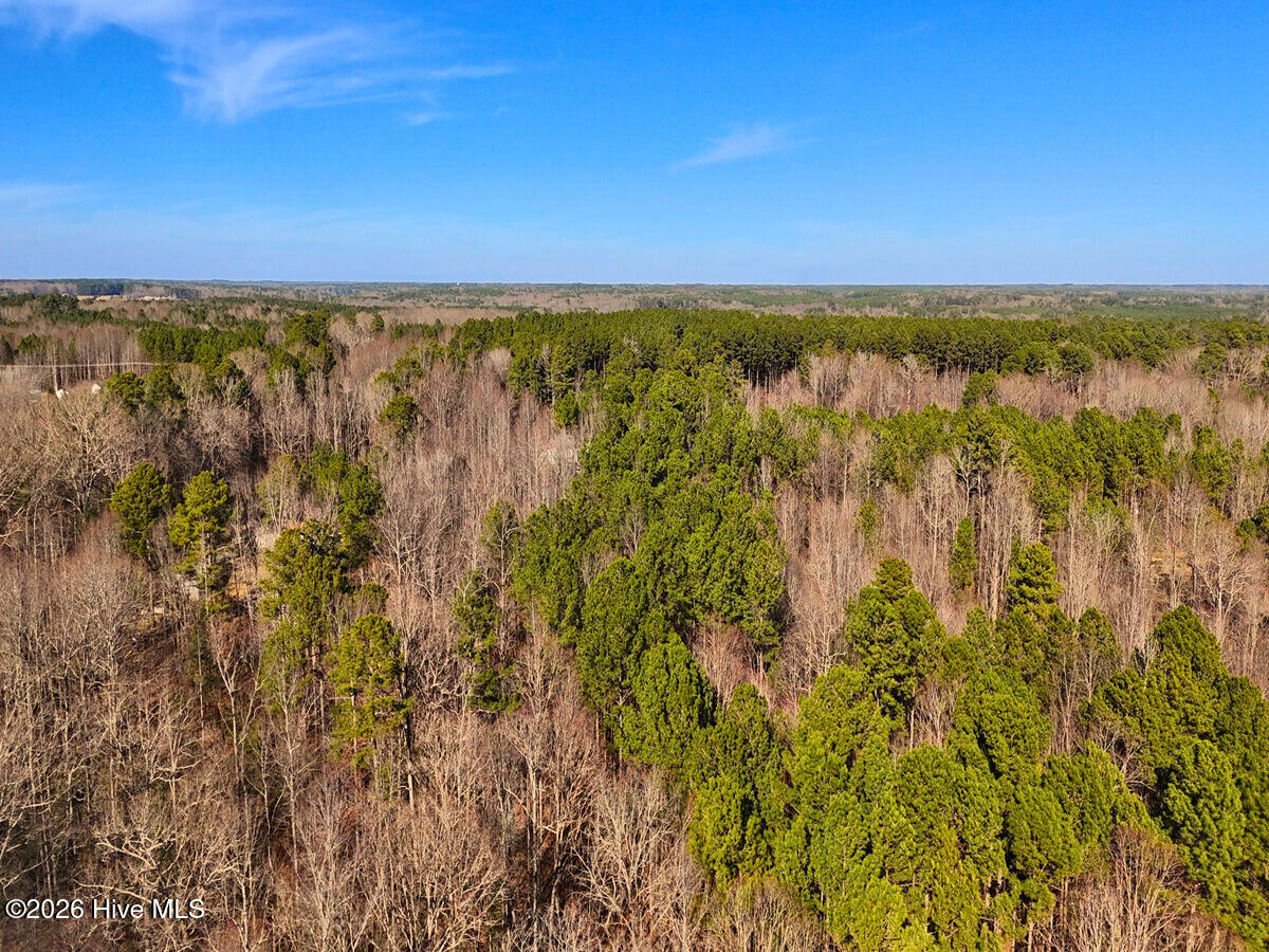 0 Nc 98 Hwy Spring Spring Hope, NC 27882 - Photo 27 of 39 27. Drone Photo