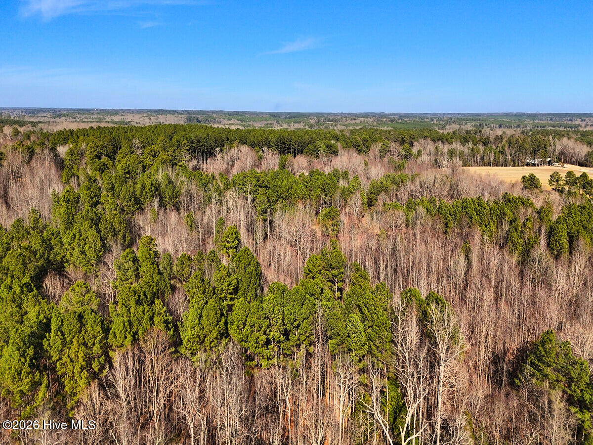 0 Nc 98 Hwy Spring Spring Hope, NC 27882 - Photo 28 of 39 28. Drone Photo