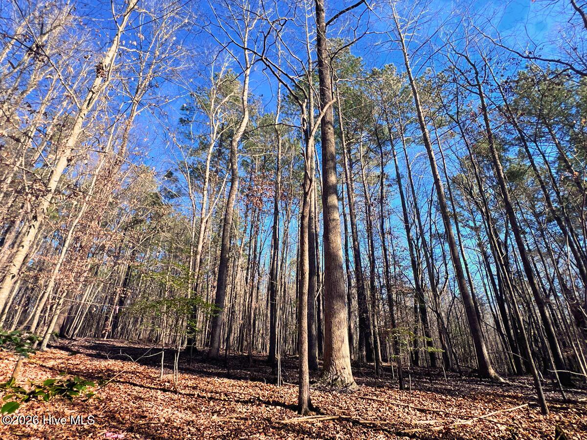 0 Nc 98 Hwy Spring Spring Hope, NC 27882 - Photo 30 of 39 30. Ground Photo