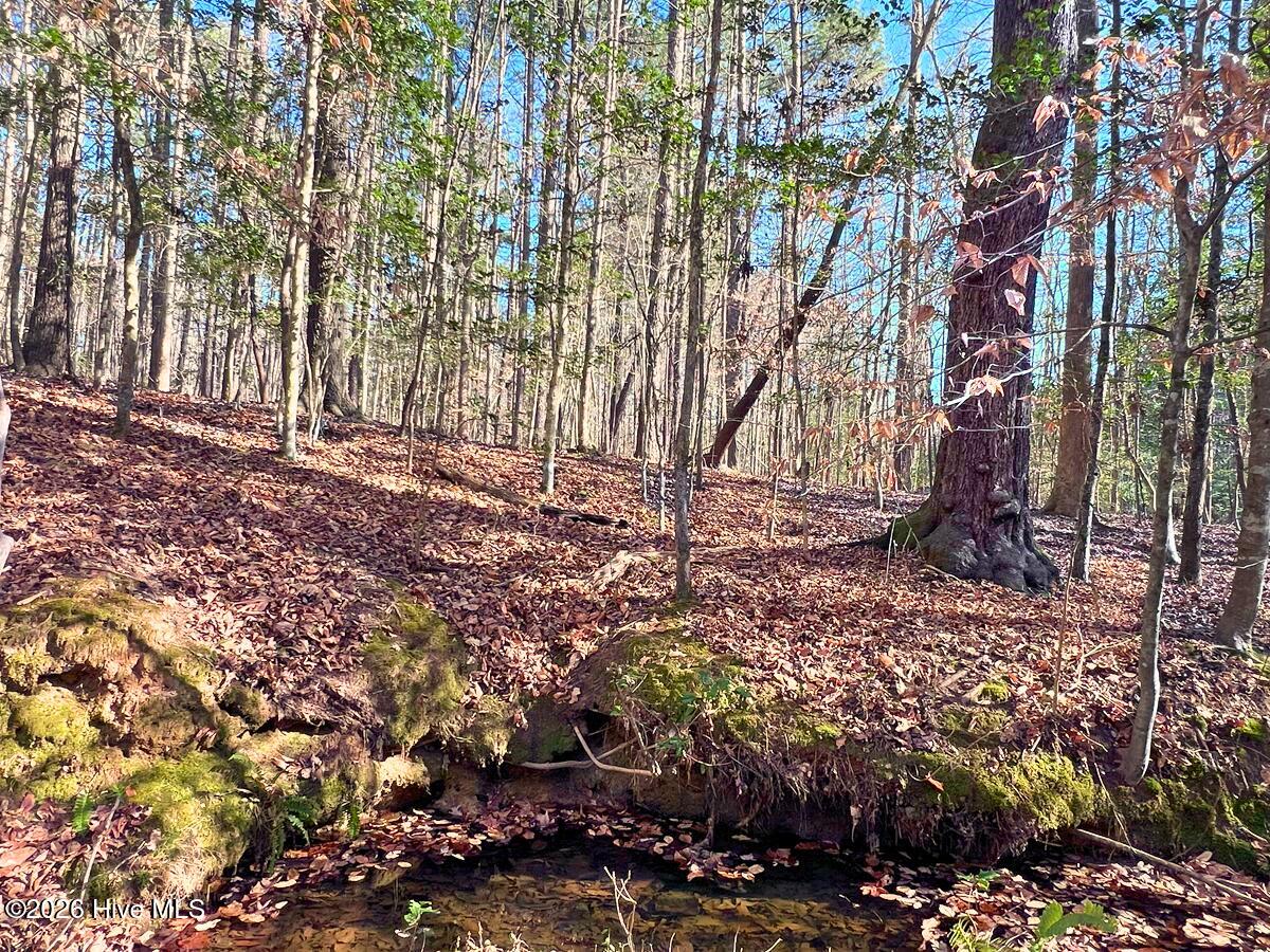 0 Nc 98 Hwy Spring Spring Hope, NC 27882 - Photo 31 of 39 31. Ground Photo Seasonal Creek