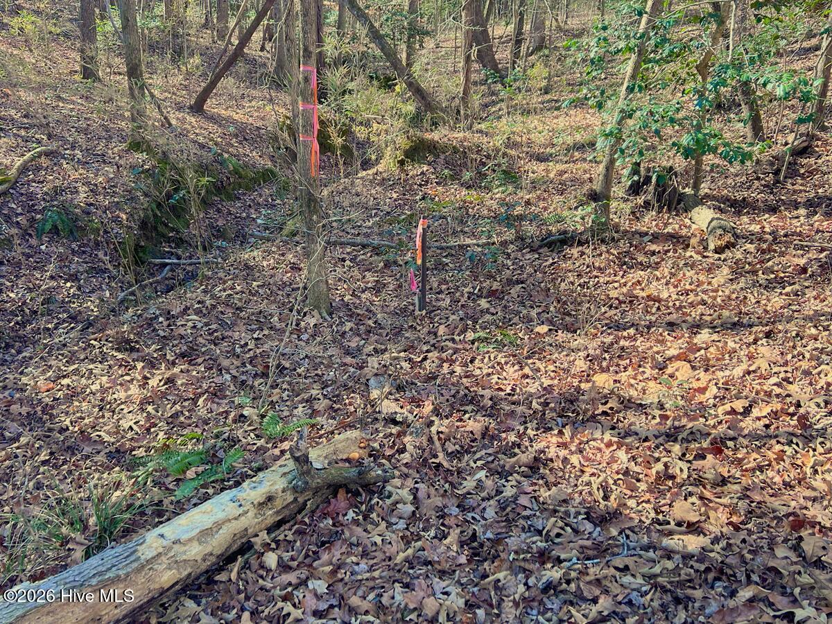 0 Nc 98 Hwy Spring Spring Hope, NC 27882 - Photo 32 of 39 32. SW Corner Property Stake