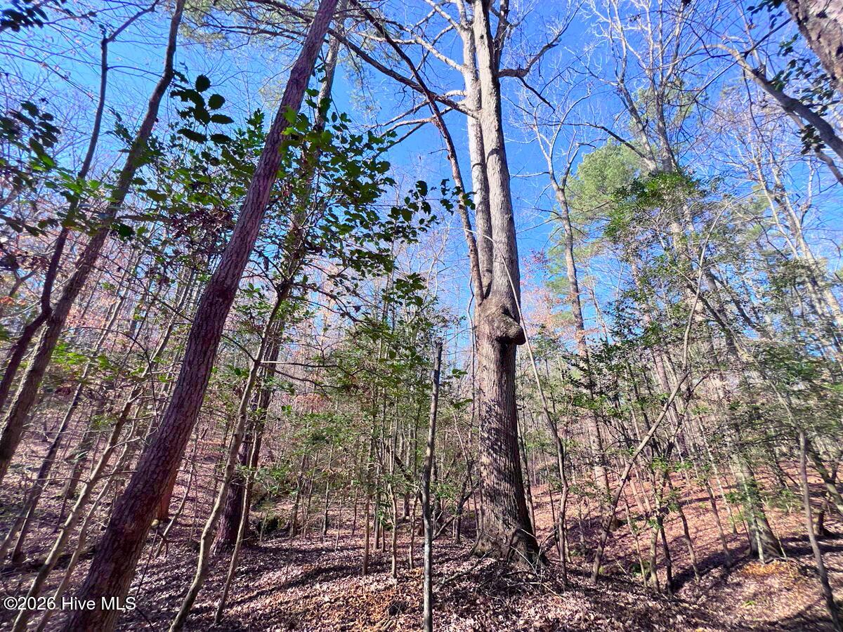 0 Nc 98 Hwy Spring Spring Hope, NC 27882 - Photo 34 of 39 34. Ground Photo