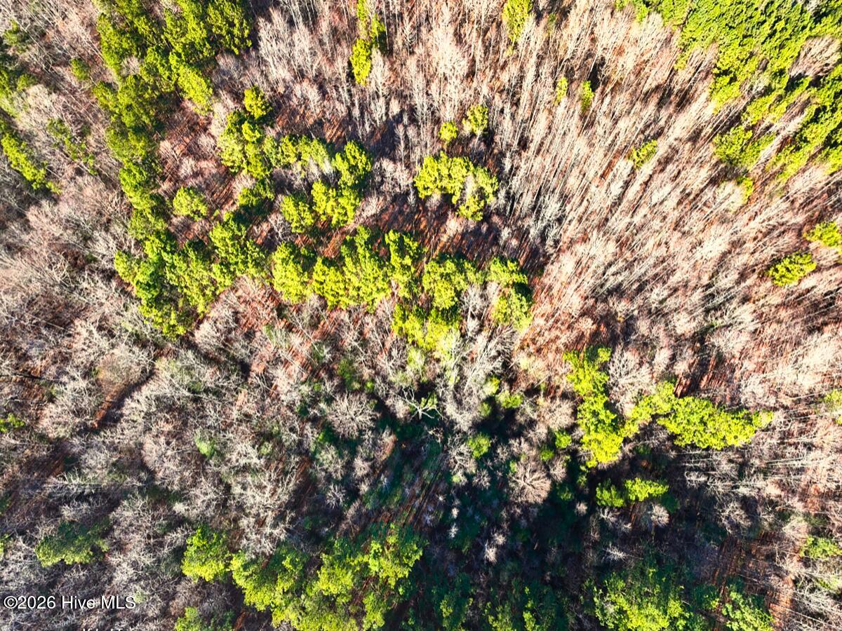 0 Nc 98 Hwy Spring Spring Hope, NC 27882 - Photo 36 of 39 36. Drone Photo