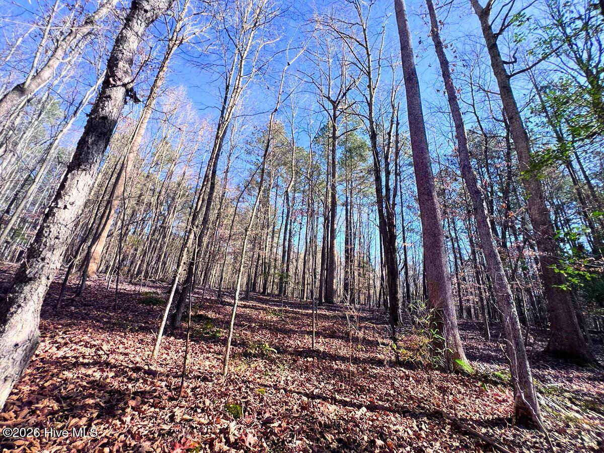 0 Nc 98 Hwy Spring Spring Hope, NC 27882 - Photo 37 of 39 37. Ground Photo