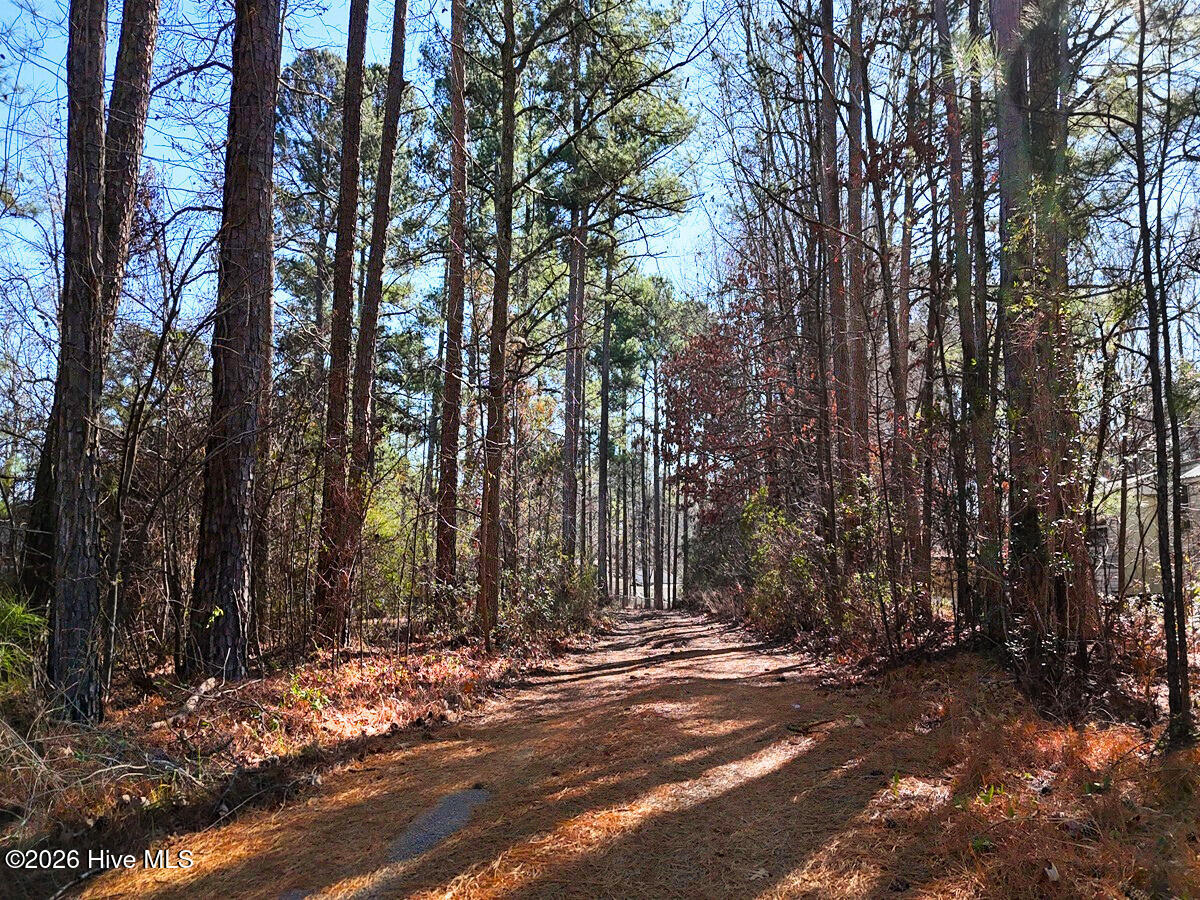 0 Nc 98 Hwy Spring Spring Hope, NC 27882 - Photo 5 of 39 5. Ground Photo Driveway