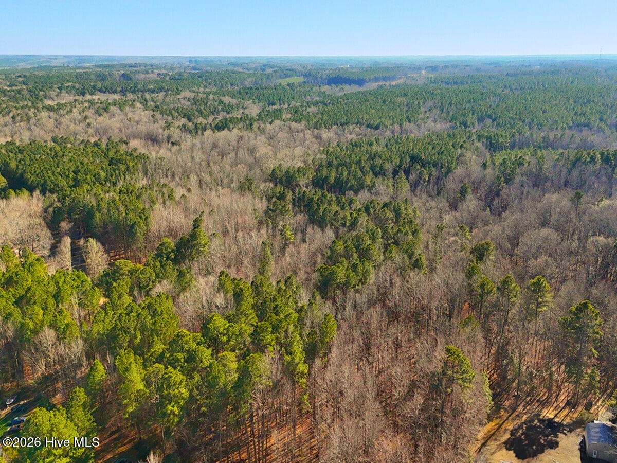 0 Nc 98 Hwy Spring Spring Hope, NC 27882 - Photo 6 of 39 6. Drone Photo