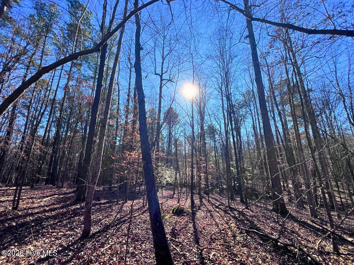 0 Nc 98 Hwy Spring Spring Hope, NC 27882 - Photo 7 of 39 7. Ground Photo