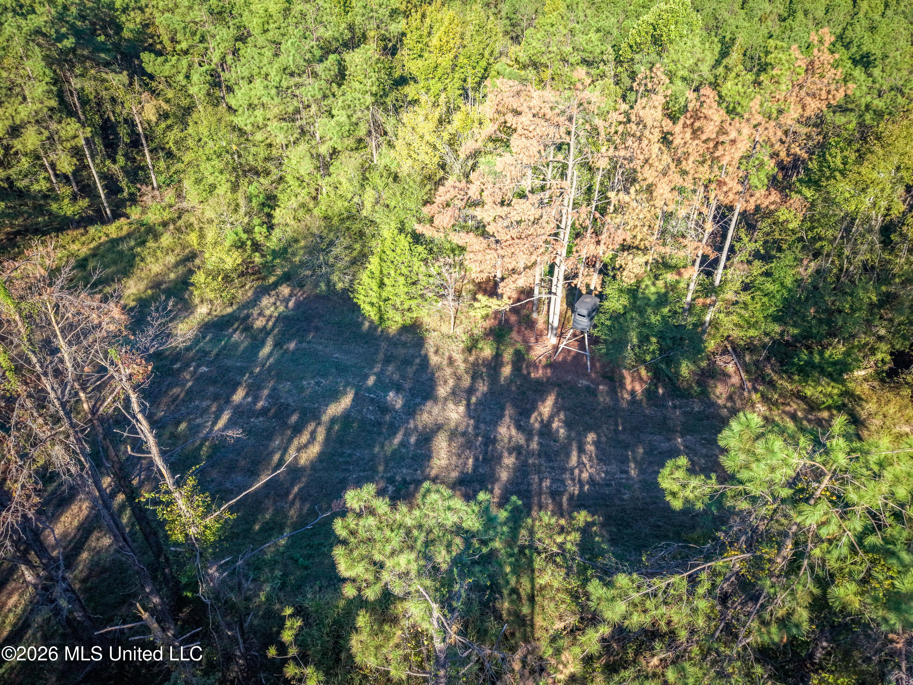 2000 Deer Creek Road Batesville, MS 38606 - Photo 12 of 54 Gary Woody Property (13)