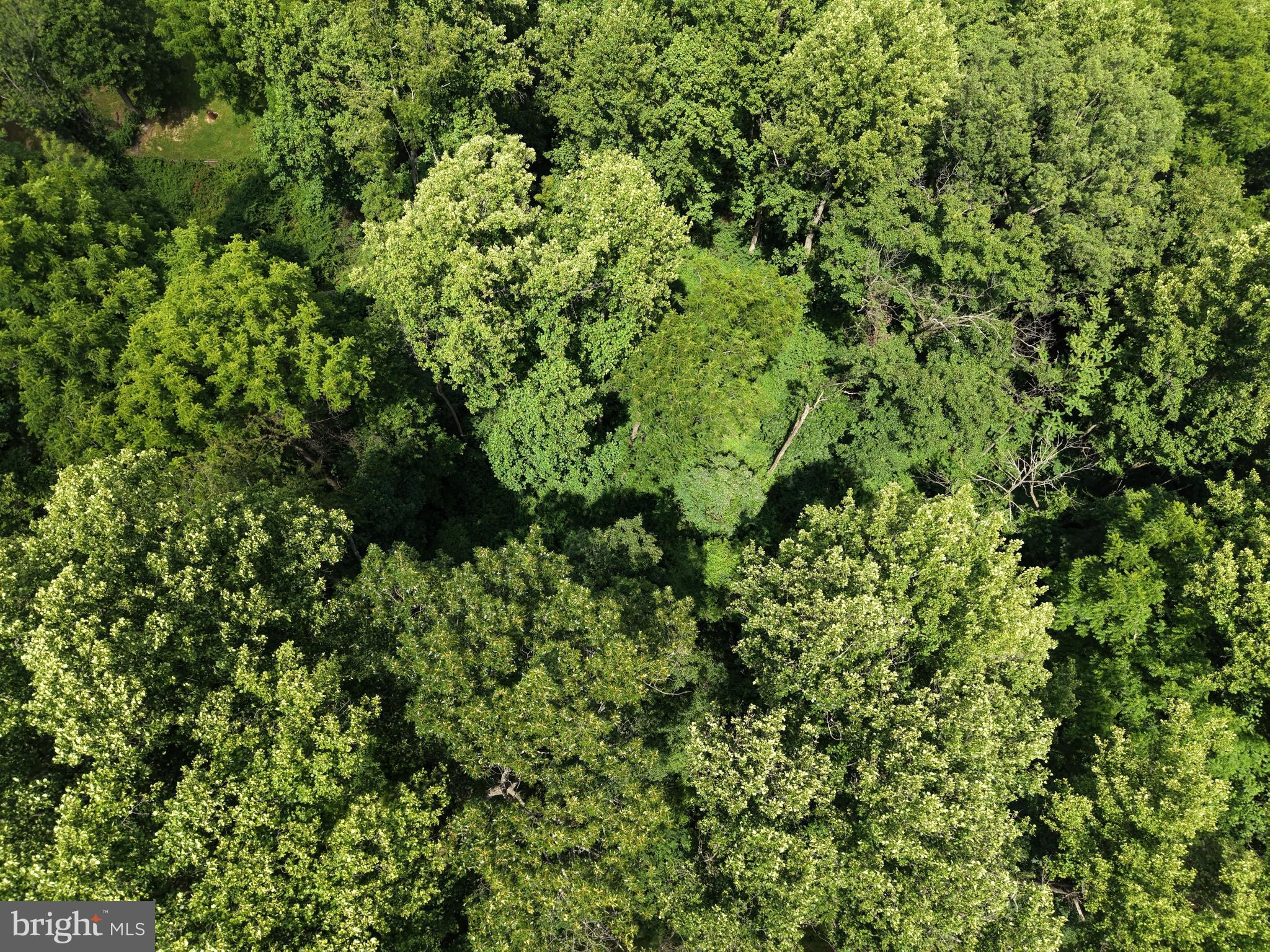 3 52 /- Acres Oak Ridge Trail Fairfield, PA 17320 - Photo 3 of 13