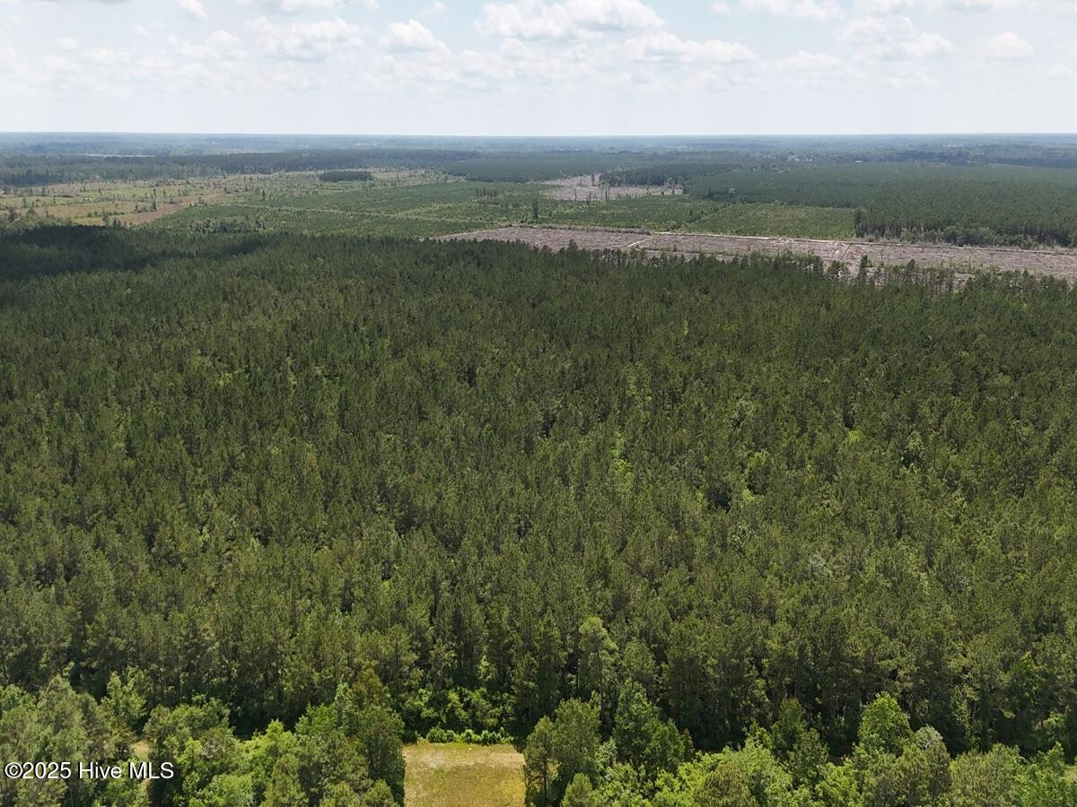 1 Barbee Road Richlands, NC 28574 - Photo 12 of 39 12. East Area 2. c