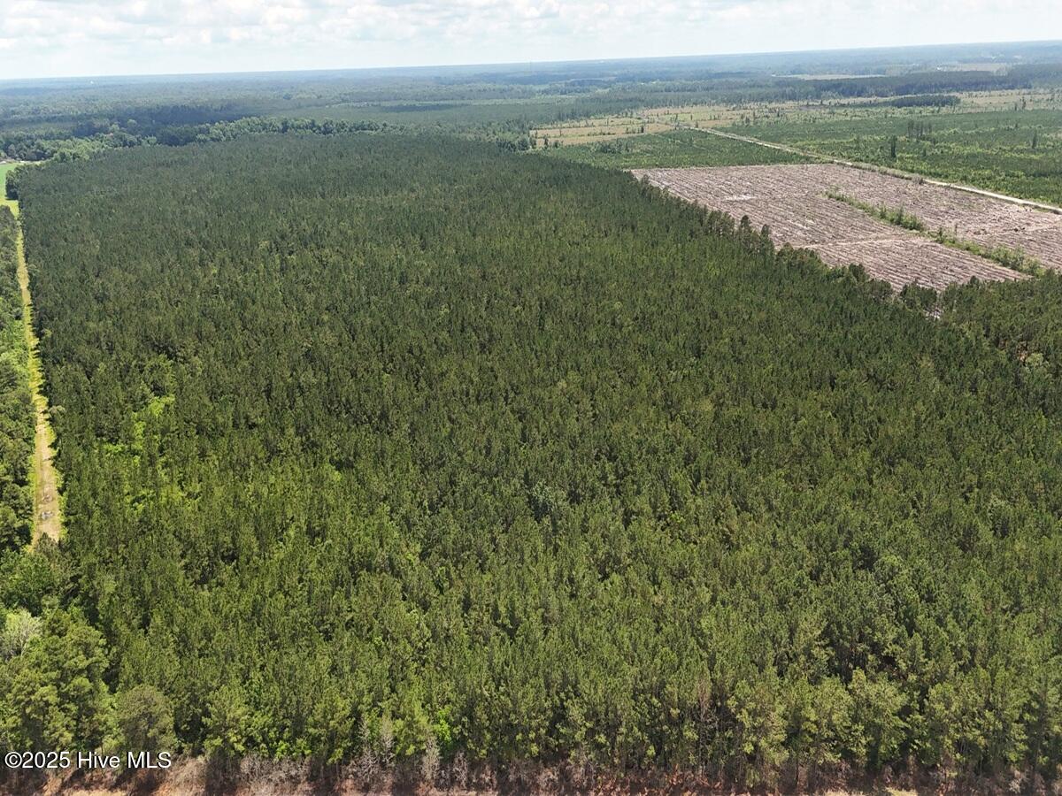 1 Barbee Road Richlands, NC 28574 - Photo 15 of 39 15. East Area 2. Rear