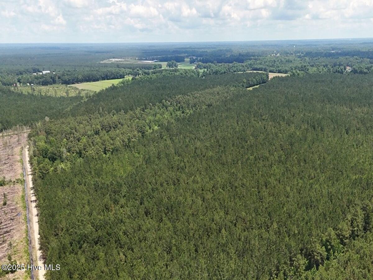 1 Barbee Road Richlands, NC 28574 - Photo 18 of 39 18. Area 2. West Corner a