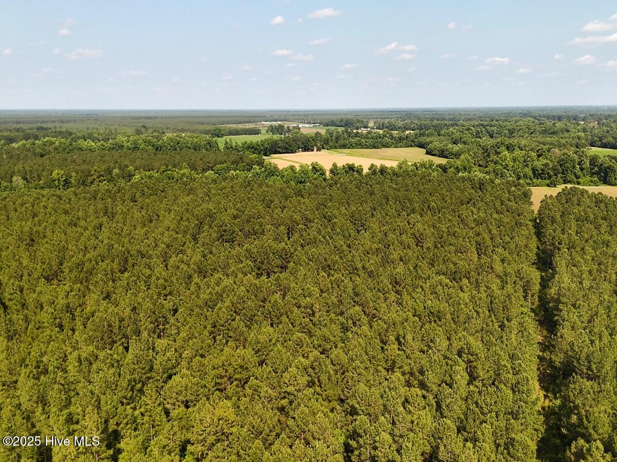 1 Barbee Road Richlands, NC 28574 - Photo 19 of 39 19. Area 1. West a