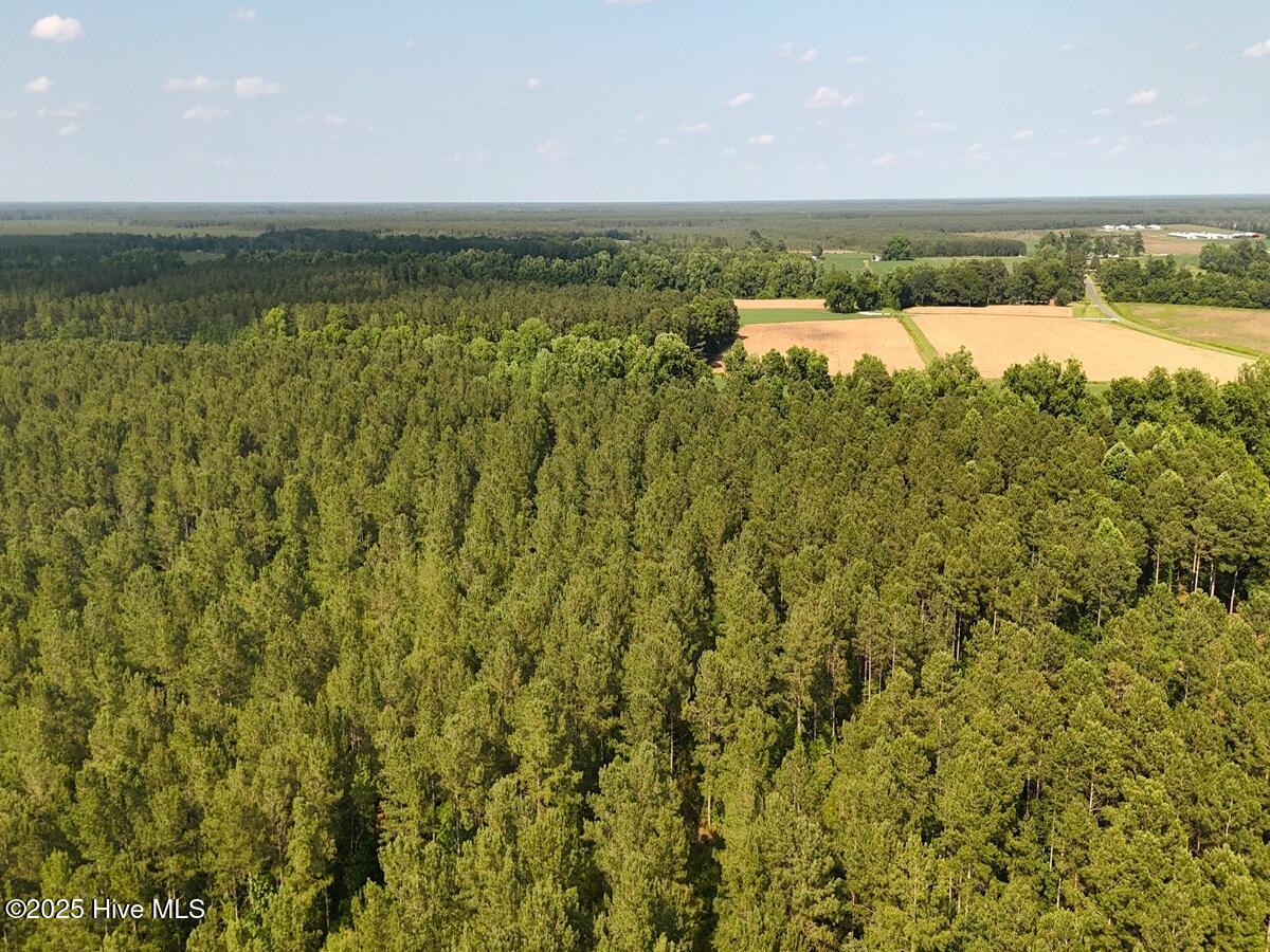 1 Barbee Road Richlands, NC 28574 - Photo 20 of 39 20. Area 1. West b