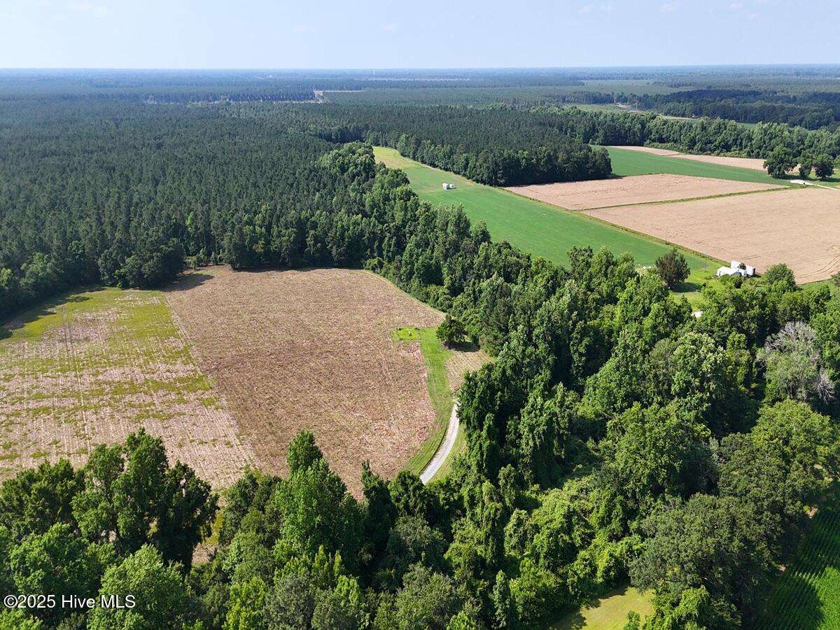 1 Barbee Road Richlands, NC 28574 - Photo 24 of 39 24. Area 1. West Corner b