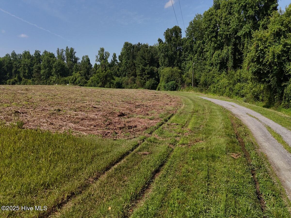 1 Barbee Road Richlands, NC 28574 - Photo 29 of 39 29. Area 1. Ground a