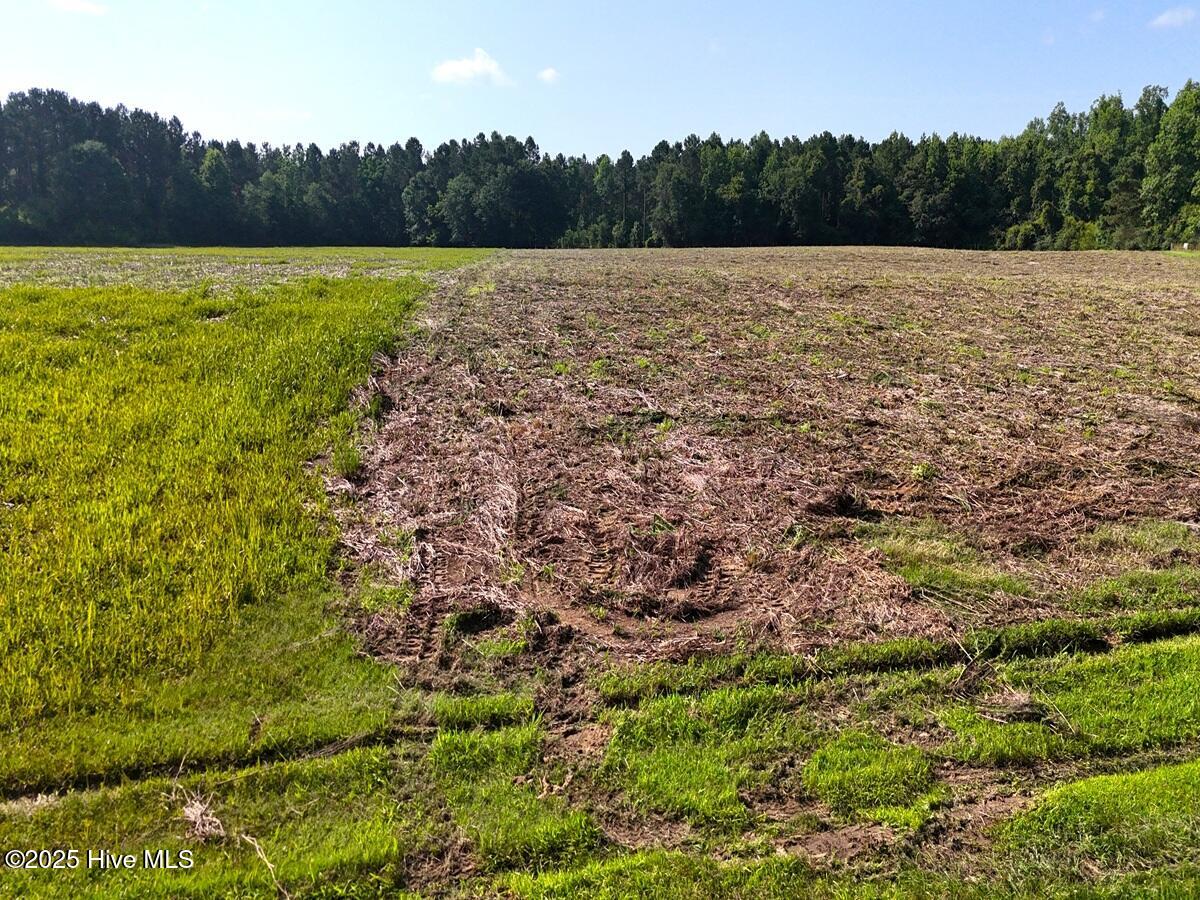 1 Barbee Road Richlands, NC 28574 - Photo 30 of 39 30. Area 1. Ground b