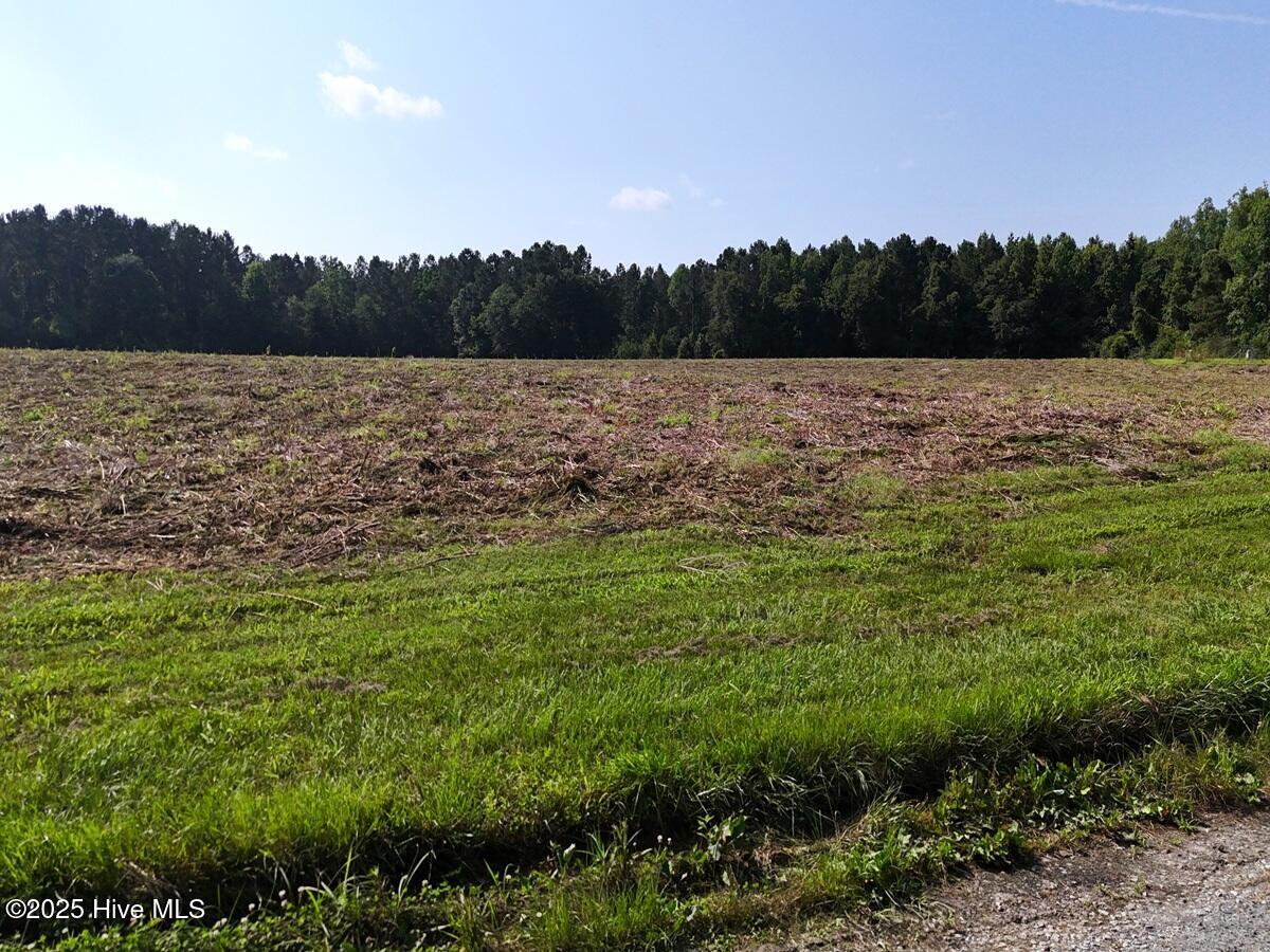 1 Barbee Road Richlands, NC 28574 - Photo 31 of 39 31. Area 1. Ground c