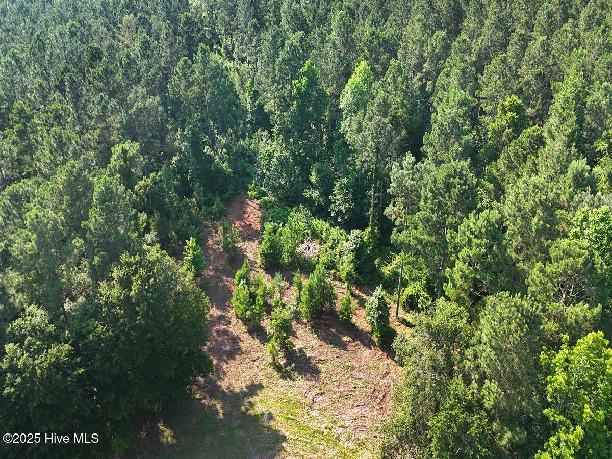 1 Barbee Road Richlands, NC 28574 - Photo 32 of 39 32. Area 1.